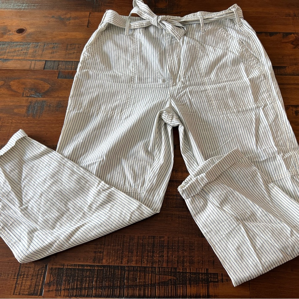 American Eagle Canvas Pants